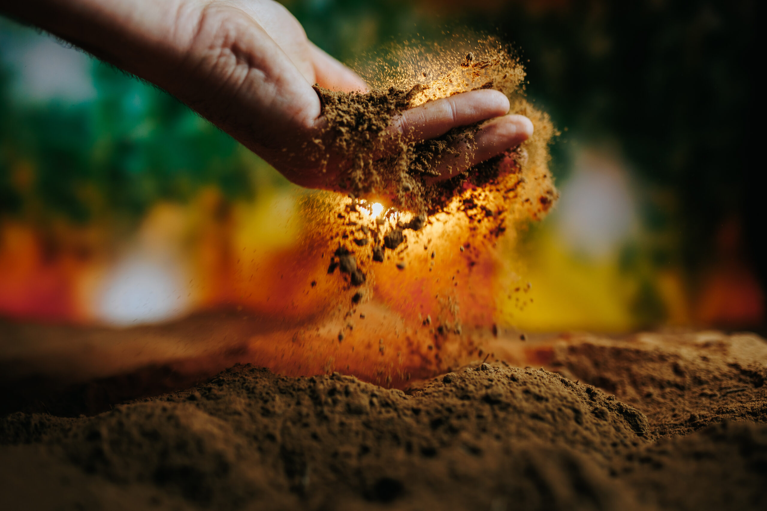 Hands releasing soil in a vibrant natural setting during daylight hours